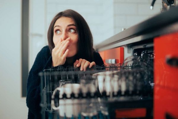 How to Clean a Moldy Dishwasher