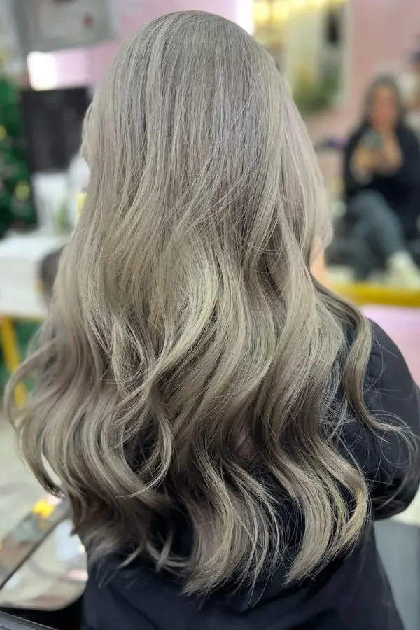 Light Gray Hair Color