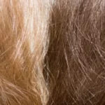 dark-vs-light-hair-color